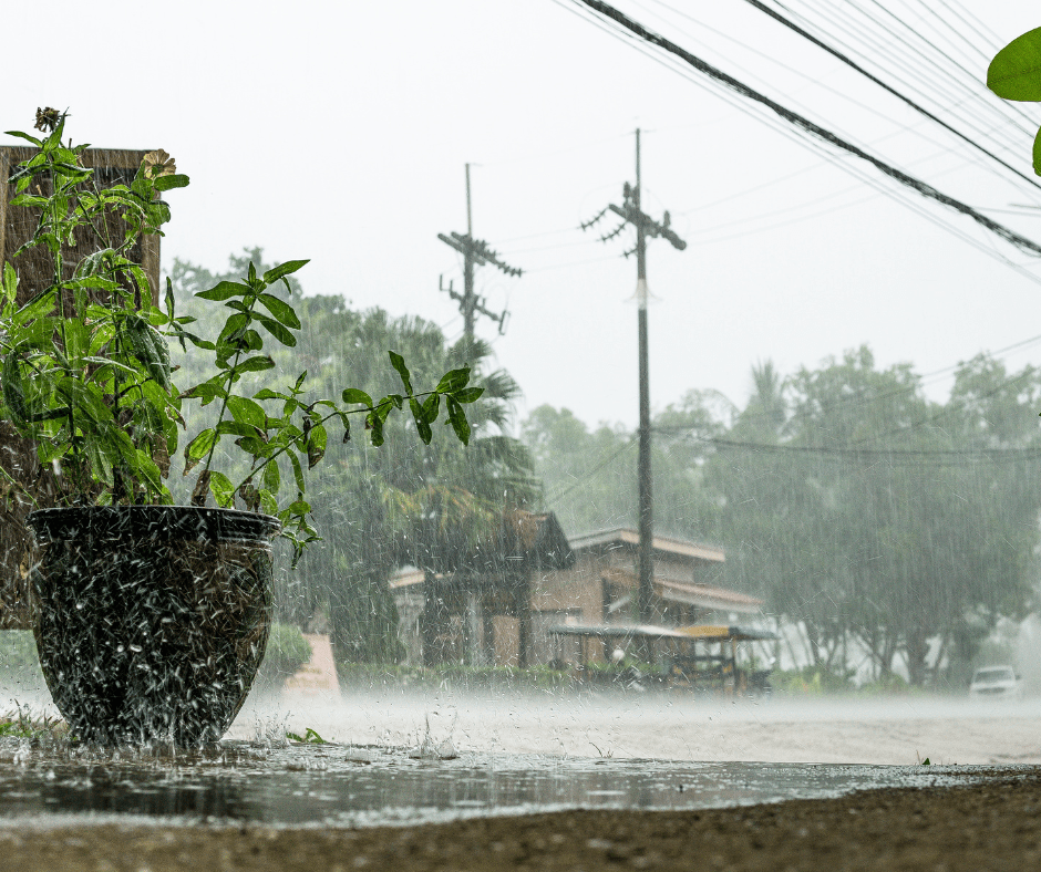 Read more about the article Staying Safe During Extreme Weather: Tips for Locating Family