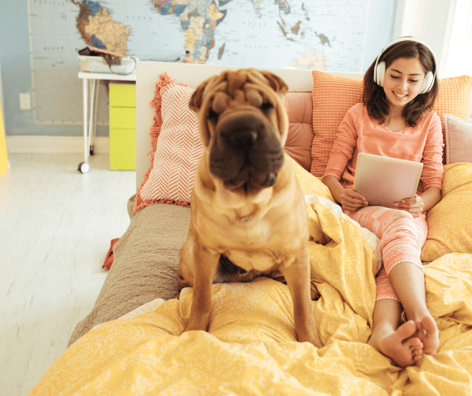 Read more about the article The Importance of Parental Permission for Kids’ Social Media Use